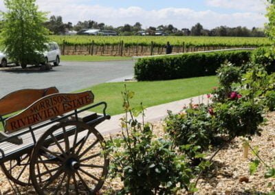 Morrisons winery moama
